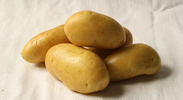 Janke Aardappel