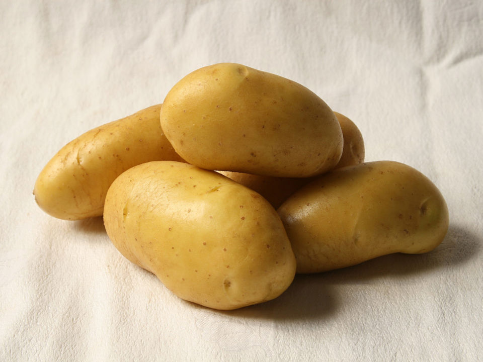 Janke Aardappel