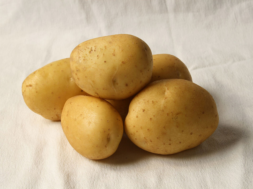 Anais Aardappel