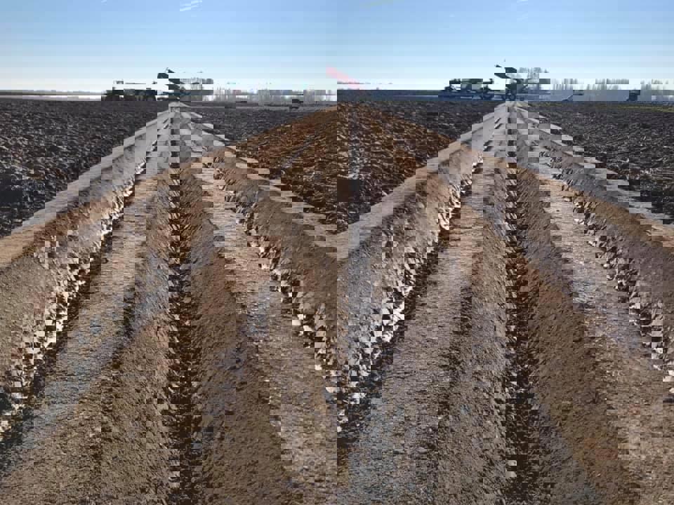 IMG 20190305 WA0005