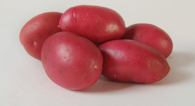 Dunastar Aardappel