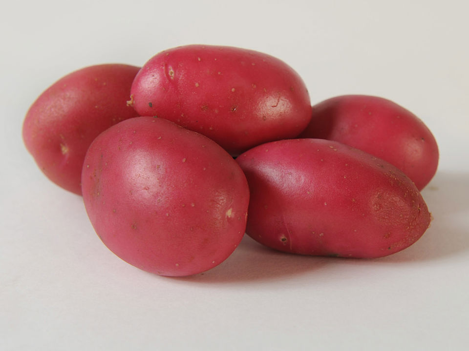 Dunastar Aardappel
