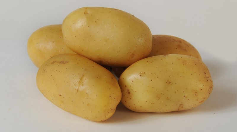 Nubila Aardappel
