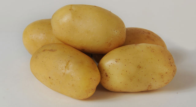 Nubila Aardappel