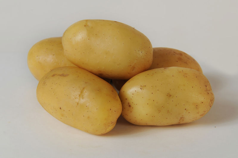 Nubila Aardappel