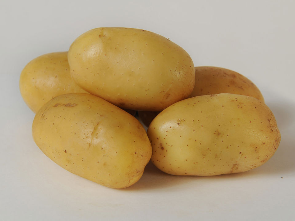 Nubila Aardappel