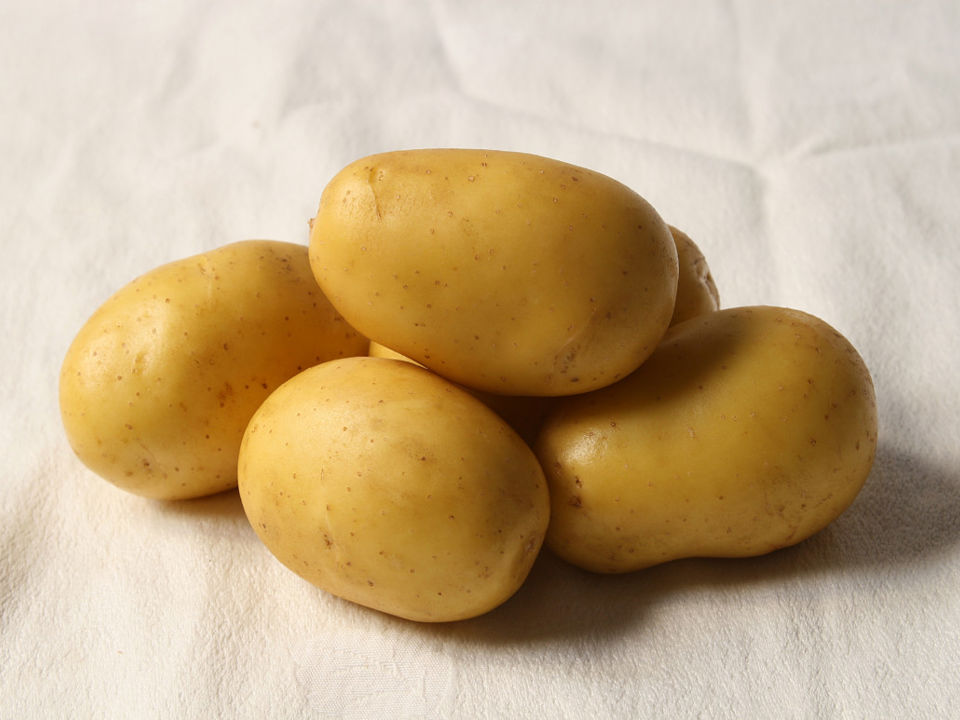 Michelle Aardappel