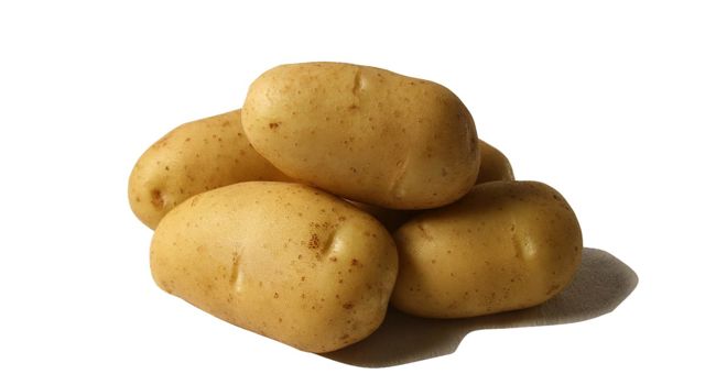 Primavera Aardappel