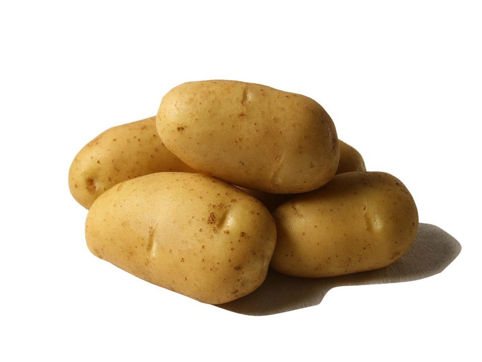 Primavera Aardappel